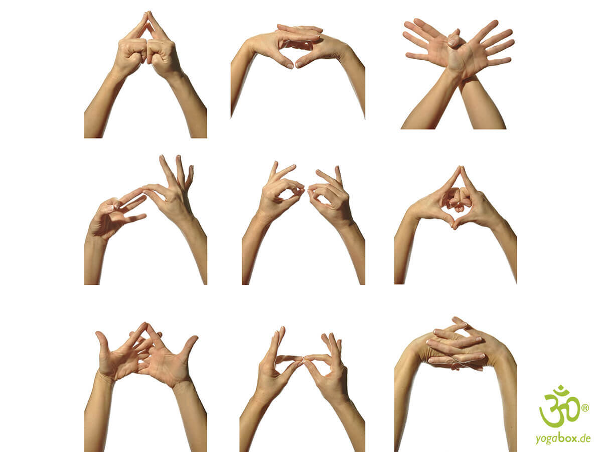 Mudras – Herz der Hatha-Yogapraxis
