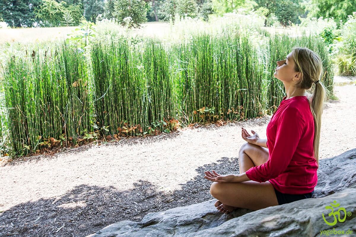Prana Yoga