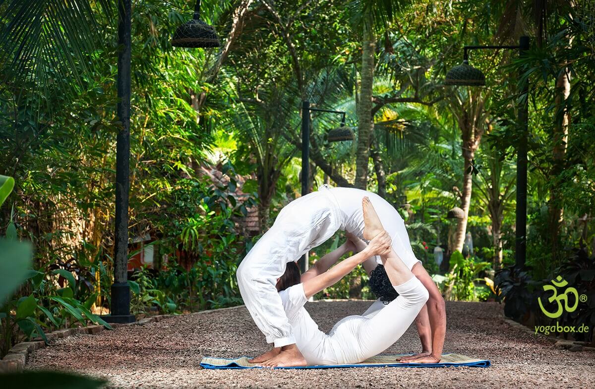Die Bogenhaltung (Dhanurasana und Urdhva Dhanurasana)
