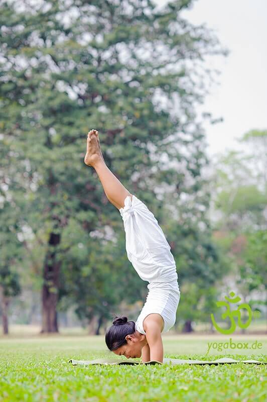Handstand und Unterarmstand - Adho Mukha Vrikshasana/Pincha Mayurasana