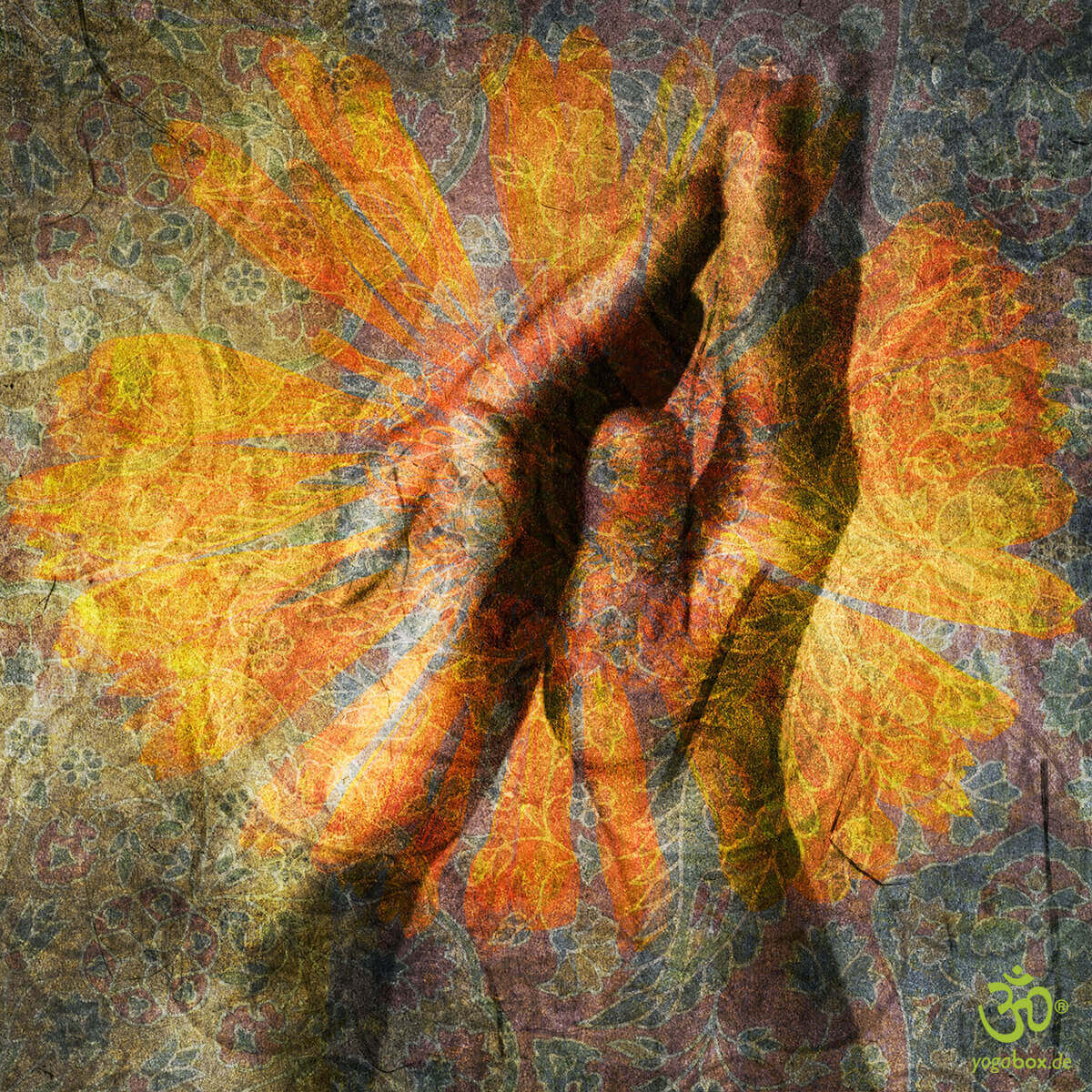 Prana Mudras - Atem-Mudras