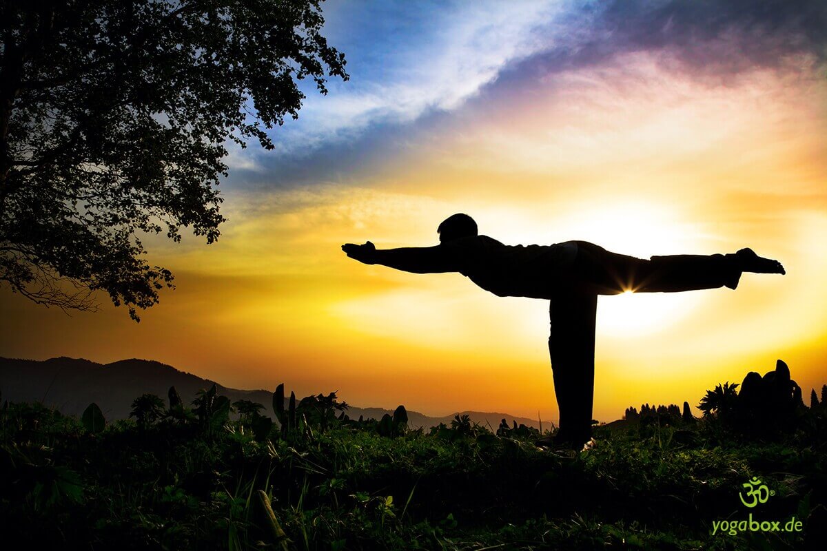 Die Standwaage - Utthita Satyeshikasana / Ardha Chandrasana