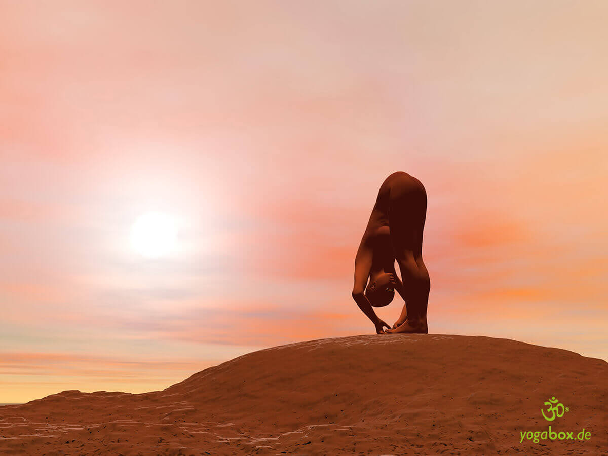 Padangusthasana - die Hand zum Fuss Yoga Haltung