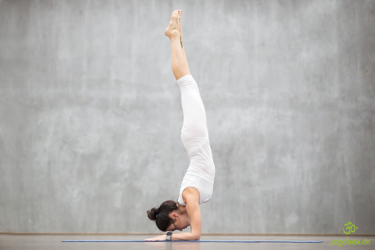 Pincha-Mayurasana - Unterarmstand