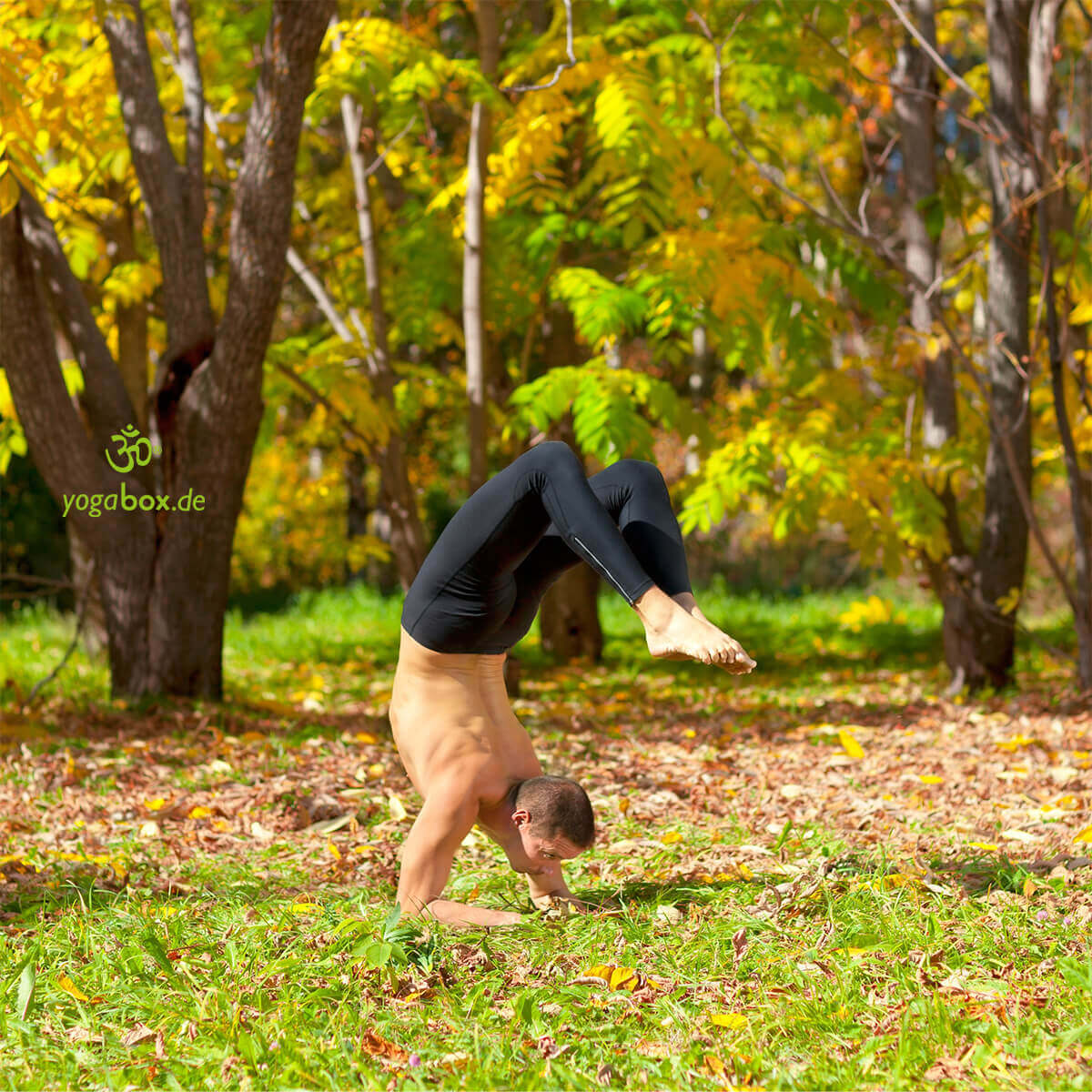 Vrishchikasana - Yoga Skorpion