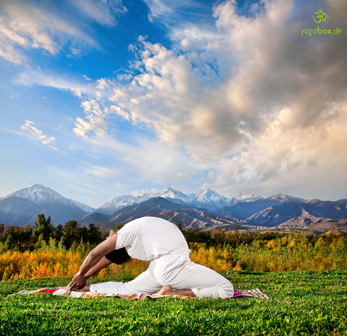 Die Position der himmlischen Geister - Valakhilyasana