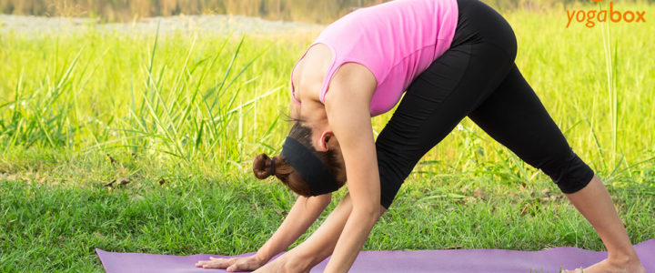 Parsvottanasana: die intensive seitliche Dehnung genießen Parsvottanasana: die intensive seitliche Dehnung genießen