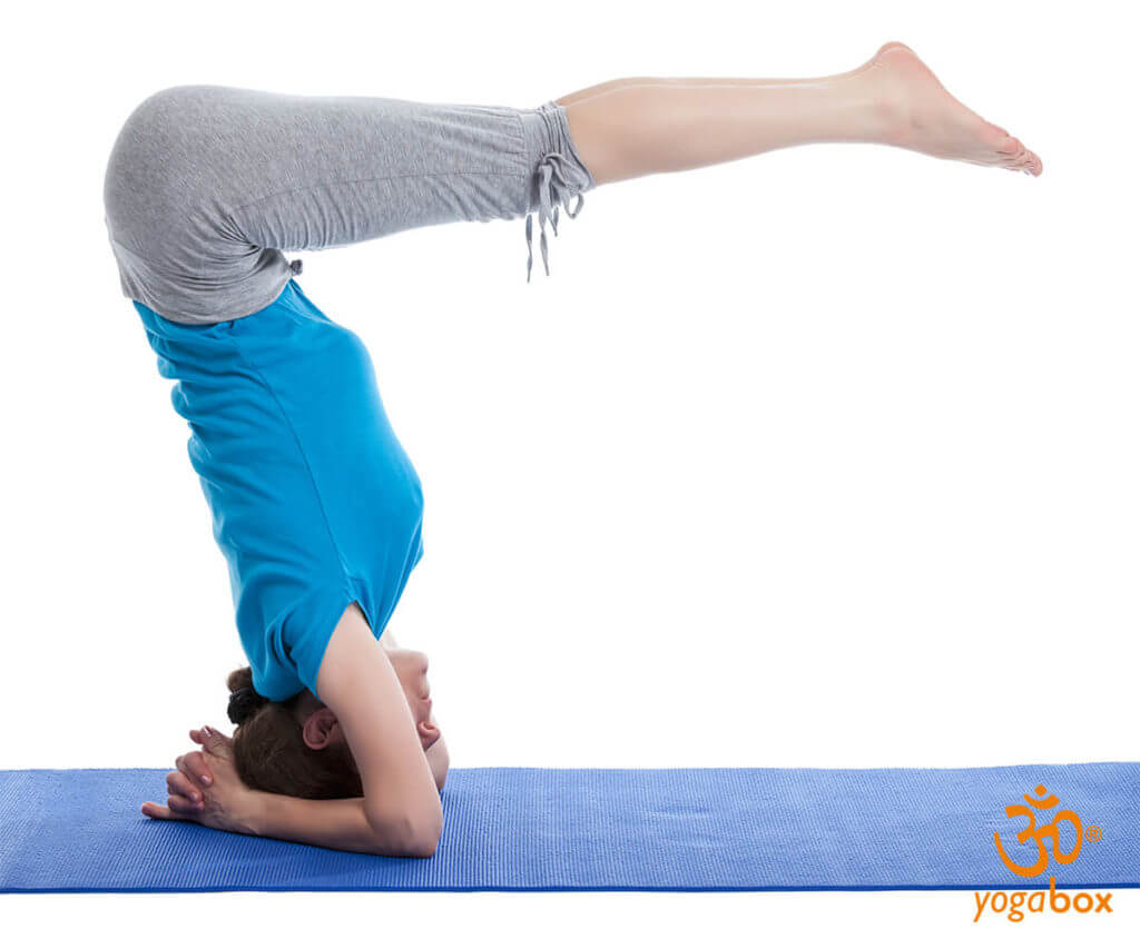 Urdhva Dandasana - Anspruch und Lohn der nach oben gerichteten Stockhaltung