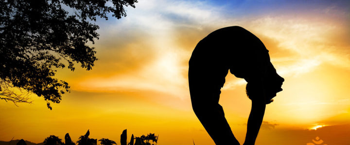 Tiriang Mukhottanasana - Die Meisterpose für Erleuchtung suchende Tiriang Mukhottanasana - Die Meisterpose für Erleuchtung suchende