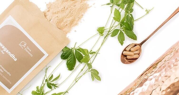 Adaptogene und ihre Wirkung - yogabox