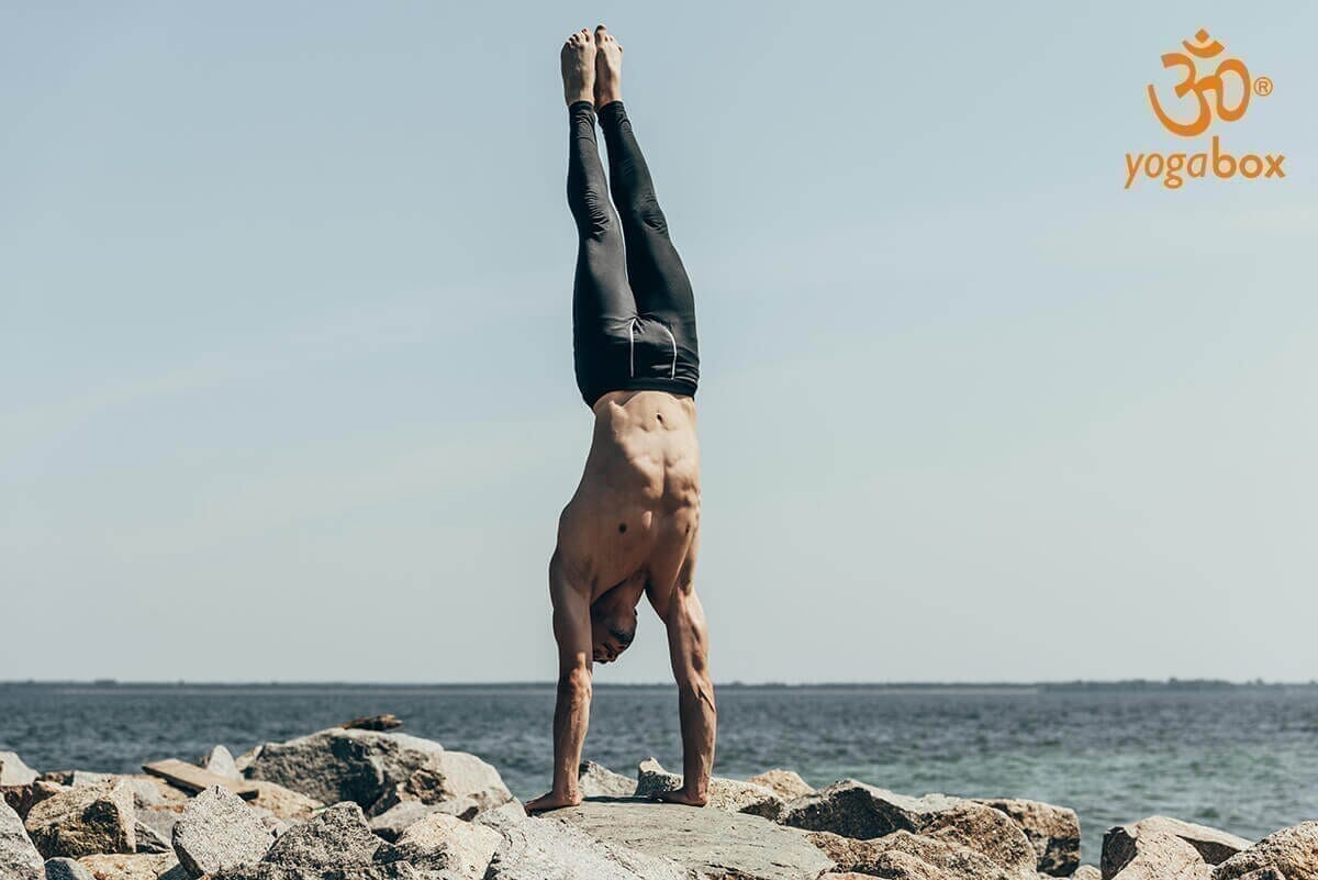 Adho Mukha Vrksasana - der Handstand - yogabox