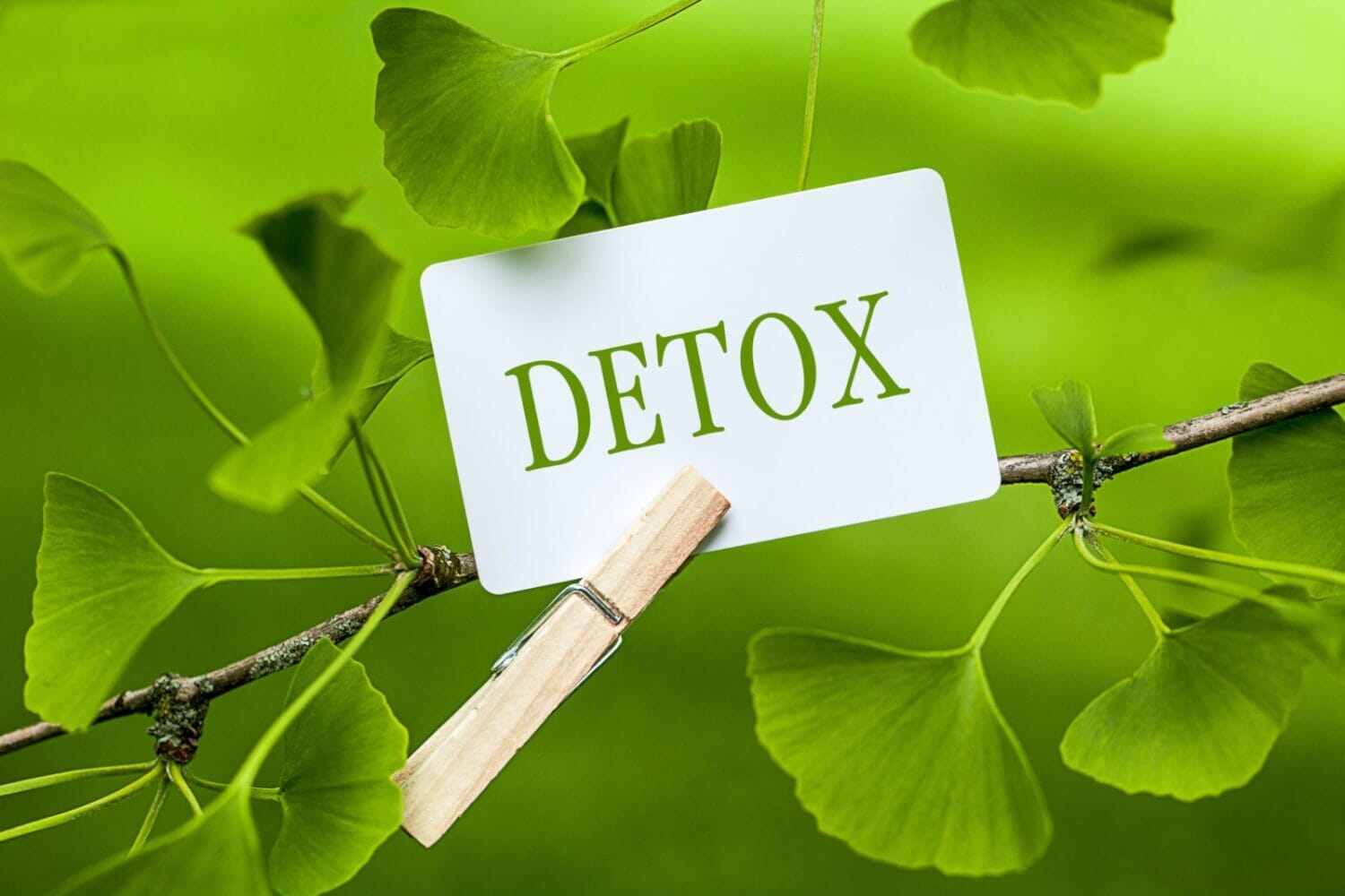 Ayurveda Detox im Frühling: Das musst Du wissen