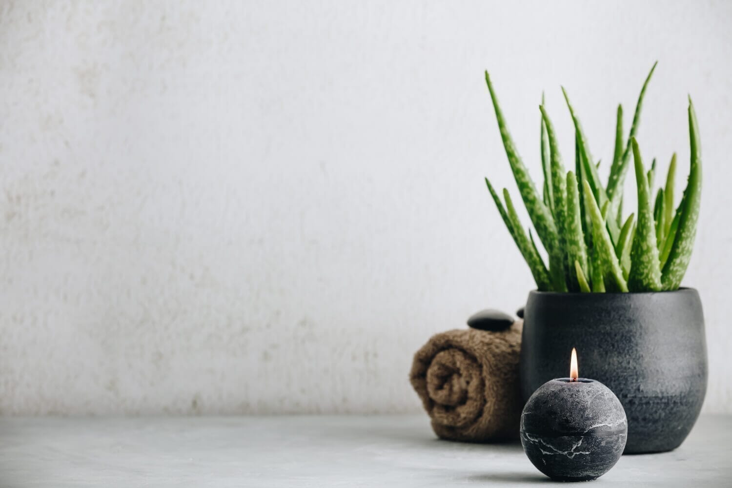 Ayurvedische Kräuter: 4 Heilpflanzen, die Du selber anbauen kannst - yogabox