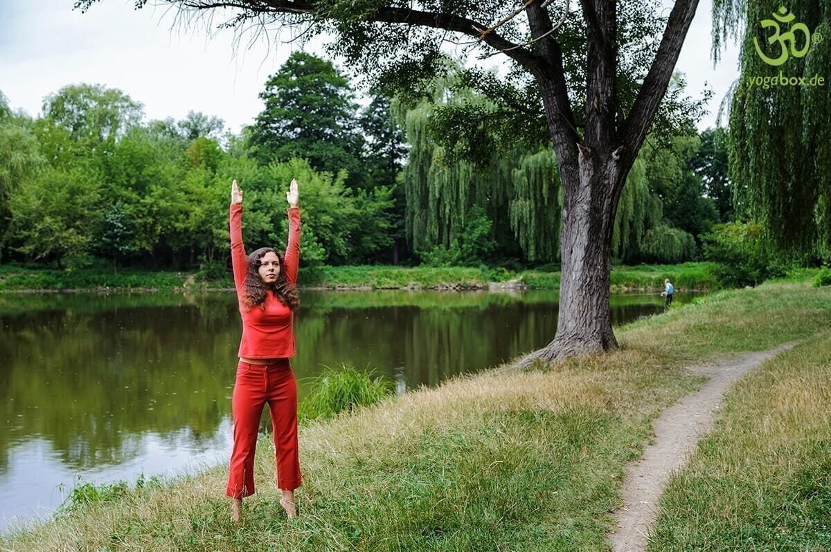 Die Berghaltung - aufrechter Stand (Tadasana) - yogabox