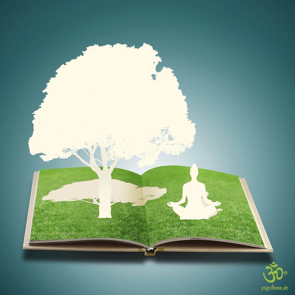 Meditation zwischen zwei Buchdeckeln: Welche Ratgeber sind lesenswert? - yogabox