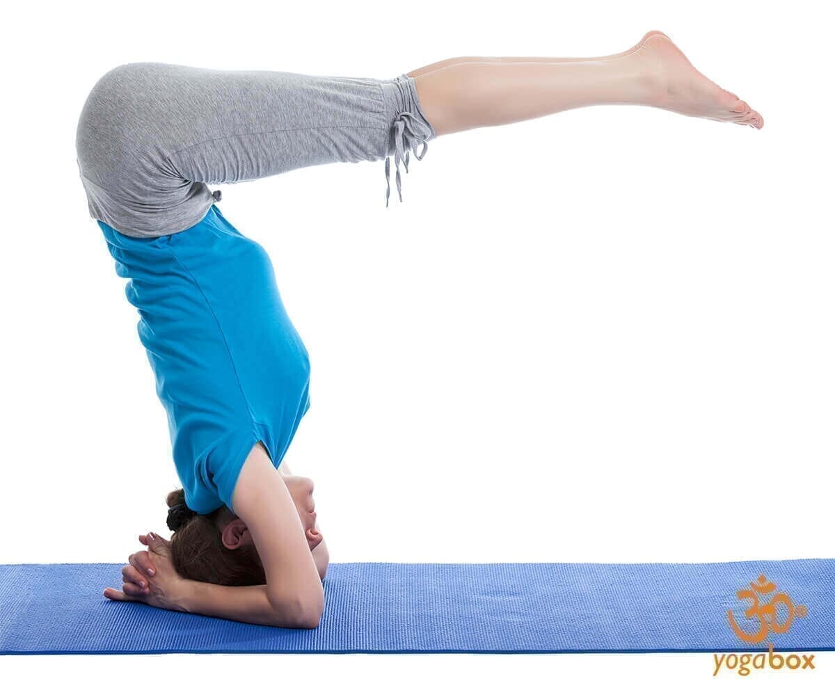 Urdhva Dandasana - Anspruch und Lohn der nach oben gerichteten Stockhaltung - yogabox