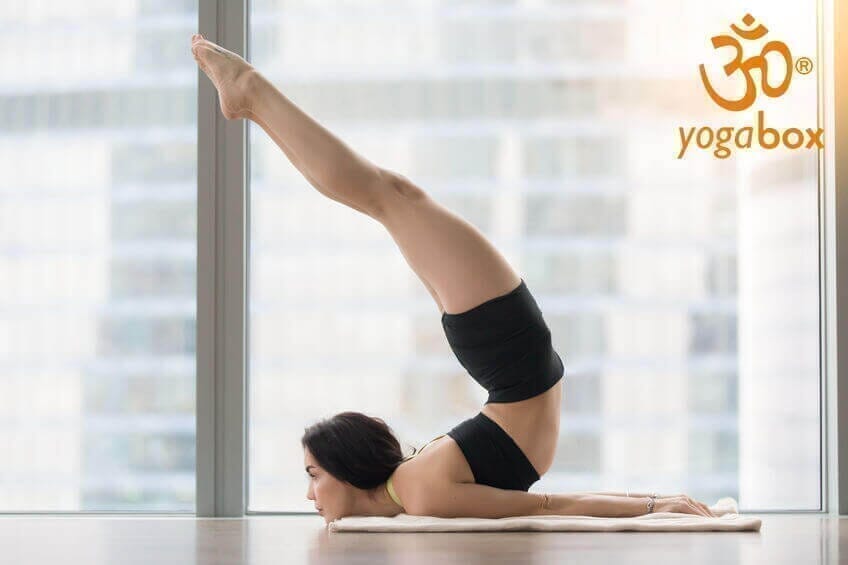 Viparita Salabhasana - mit der gestreckten Heuschrecke zu mehr Selbstbewusstsein und Wohlbefinden - yogabox