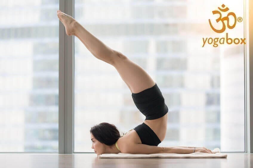 Viparita Salabhasana - mit der gestreckten Heuschrecke zu mehr Selbstbewusstsein und Wohlbefinden - yogabox