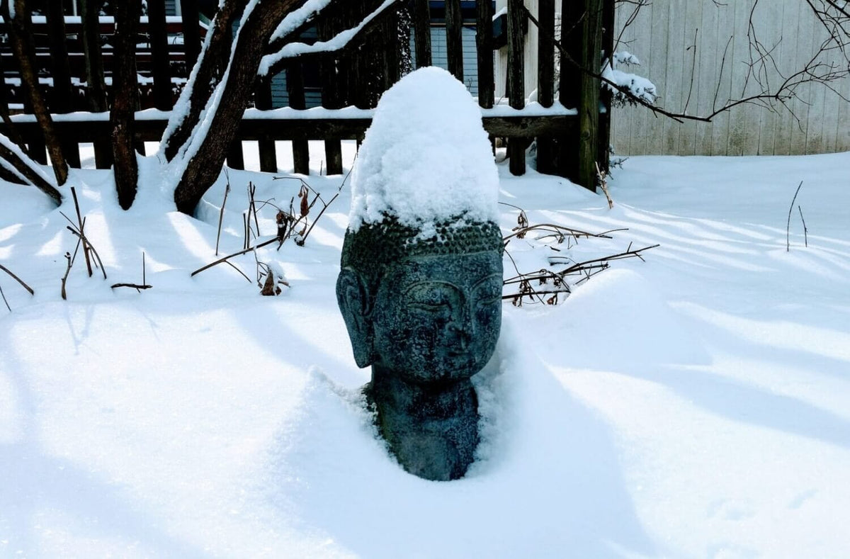 Warum Yoga im Winter besonders wichtig ist – Dein Ratgeber - yogabox
