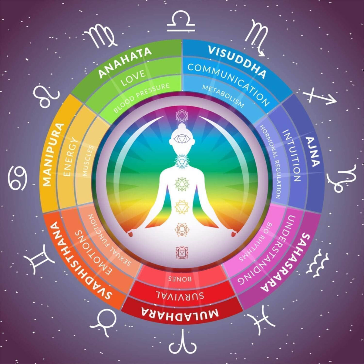 Yoga nach Sternzeichen: Welche Asanas sind perfekt für Dich? - yogabox