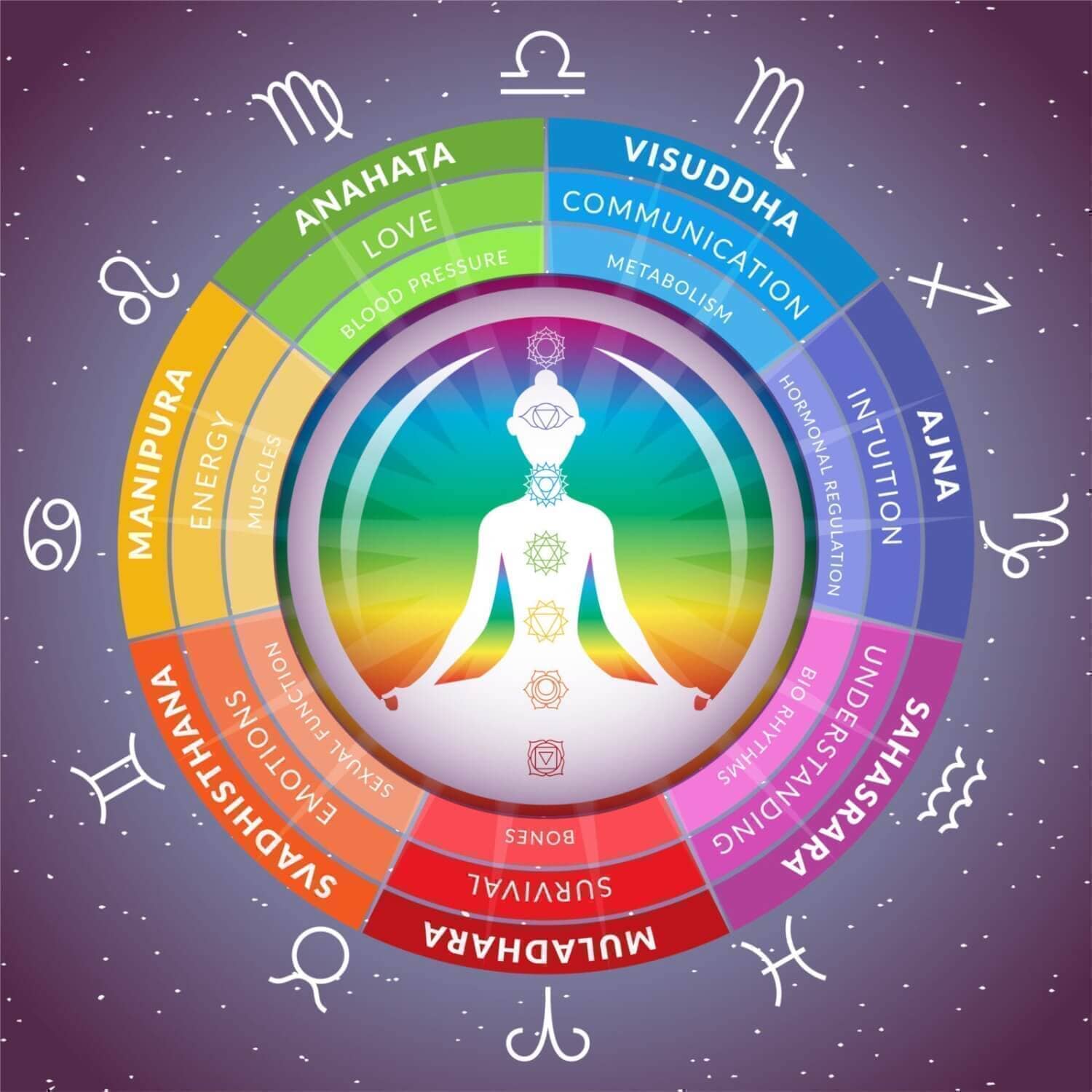 Yoga nach Sternzeichen: Welche Asanas sind perfekt für Dich? - yogabox