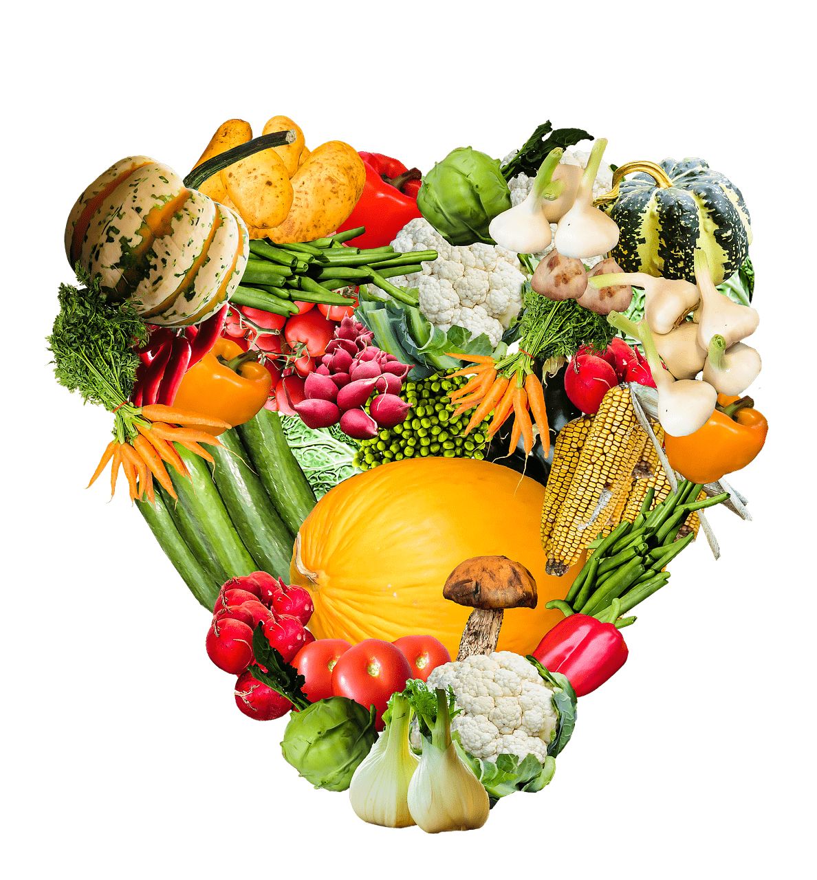 Yoga und Veganismus: Muss ein Yogi vegan sein?
