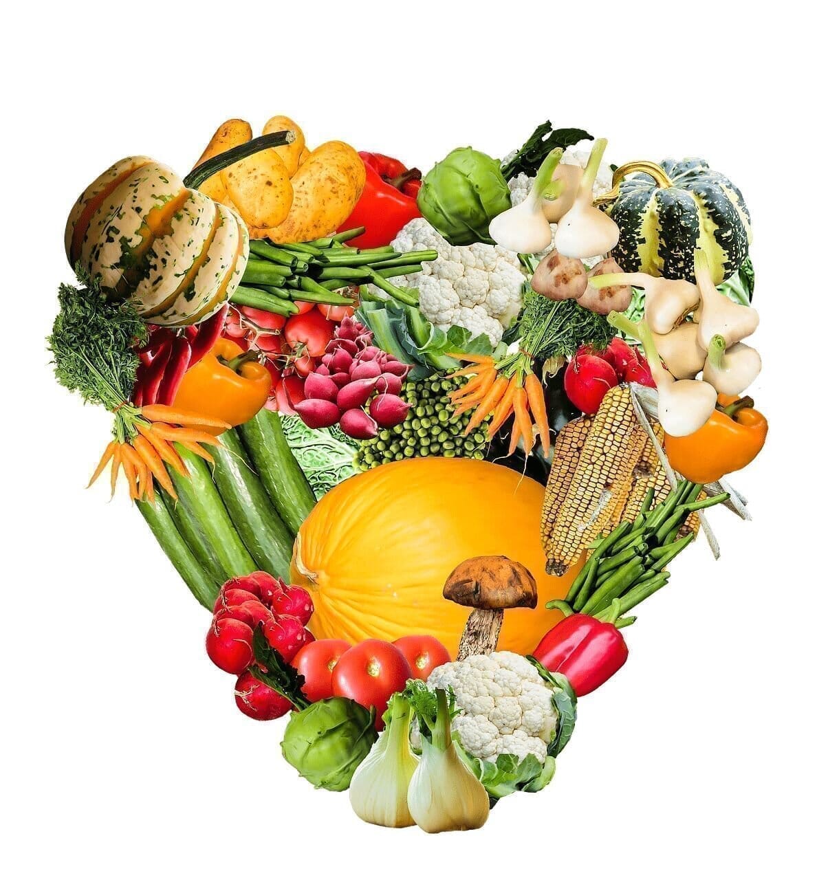 Yoga und Veganismus: Muss ein Yogi vegan sein? - yogabox