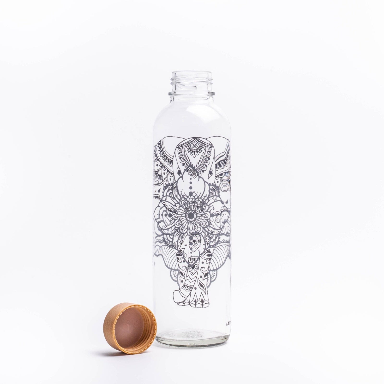 Glastrinkflasche CARRY 