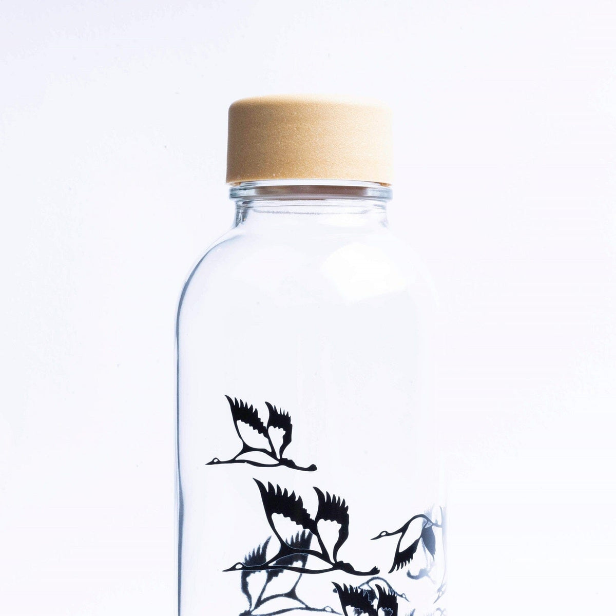 Glastrinkflasche CARRY 