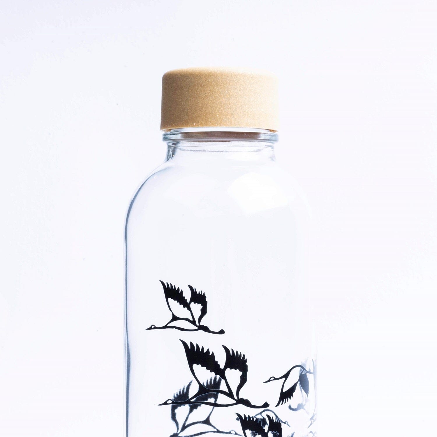 Glastrinkflasche CARRY 