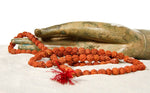 Mala Rudraksha 